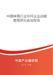 味精行業標桿企業戰略管理研究咨詢報告